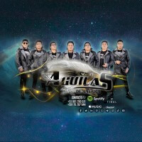 Artista Aguilas de América